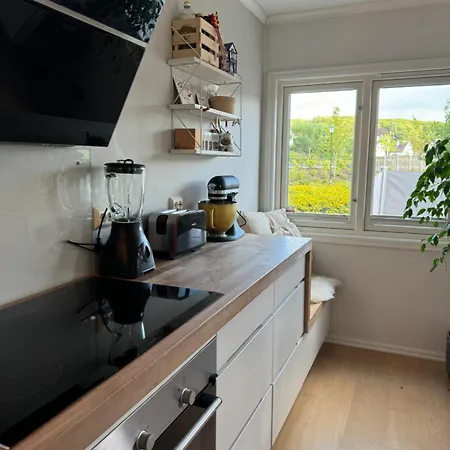 Enebolig Naer Sentrum Og Ons Min 3 Night Willa *