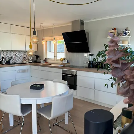 Enebolig Naer Sentrum Og Ons Min 3 Night *